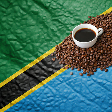 TANZANIA1 - Mutwari Peaberry
